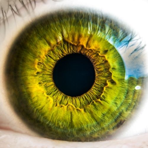 Image of an eye.