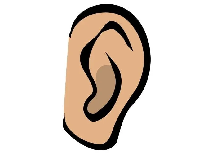 Ear for listening which is essential for creating trust in the workplace.