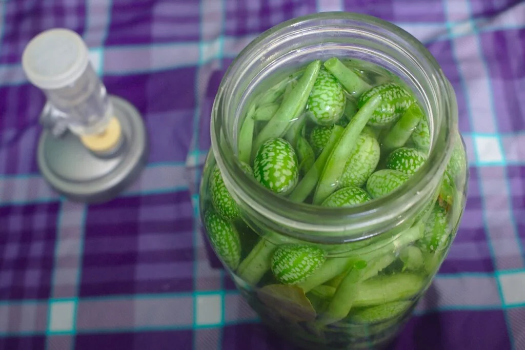 a jar full of vegetables for the pickle jar theory