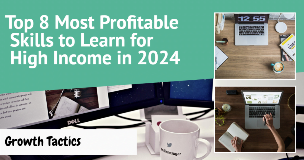 Top 8 Most Profitable Skills to Learn for High in 2024