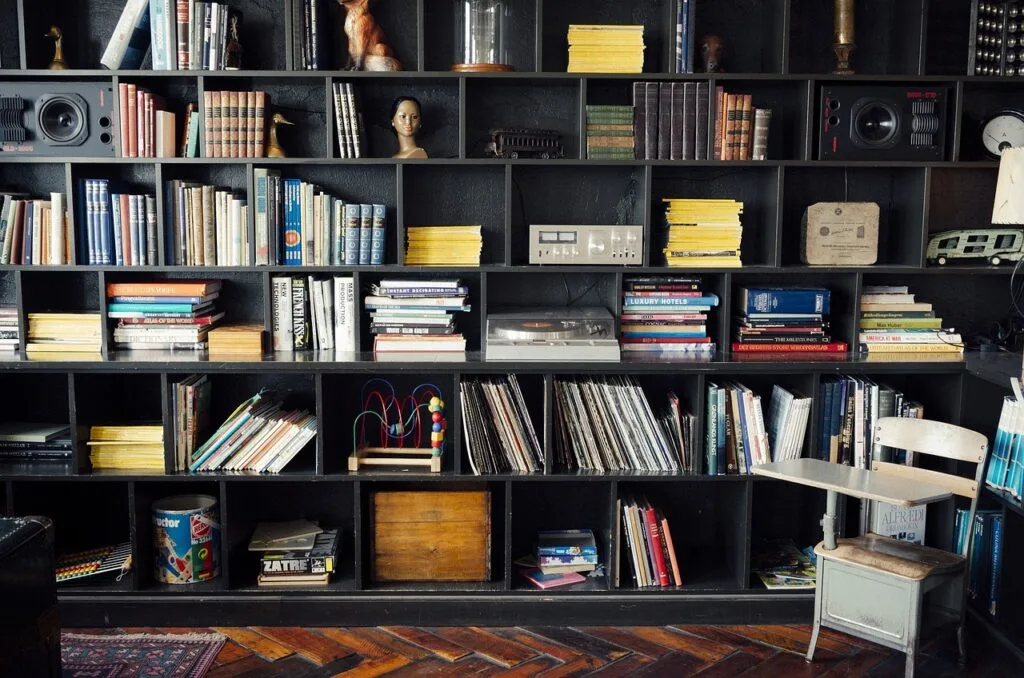 bookshelf, library, literature