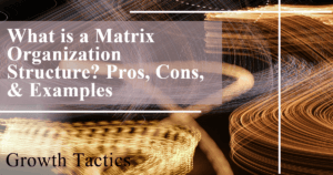 What is a Matrix Organization Structure? Pros, Cons, & Examples featured image